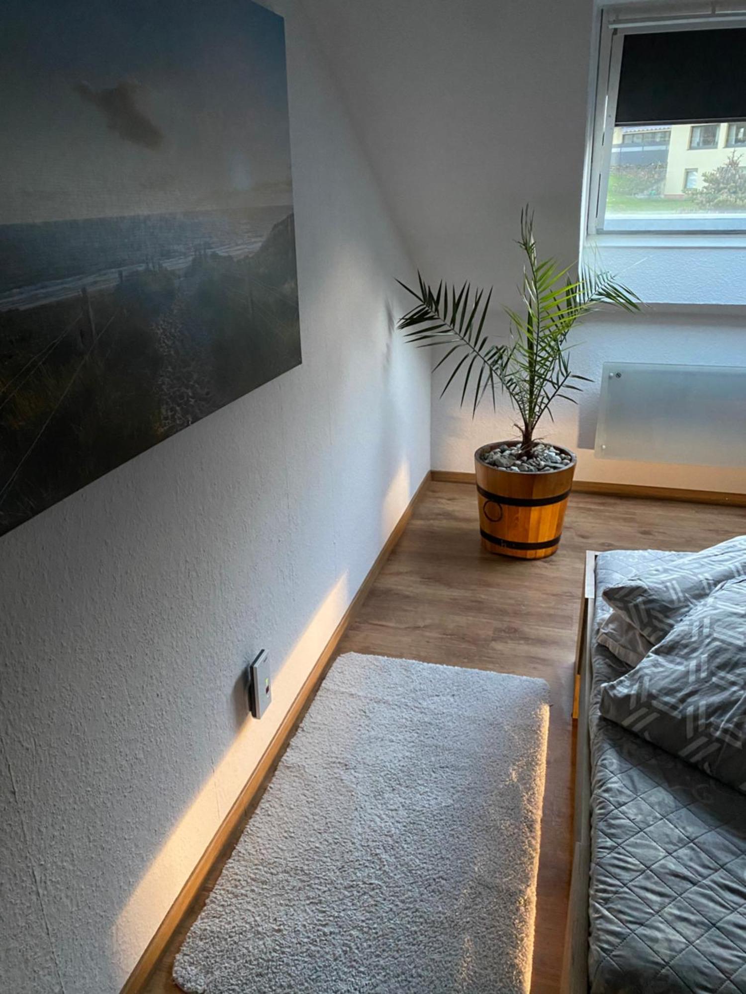 Fewo Skywalk Willingen Stryck Esterno foto