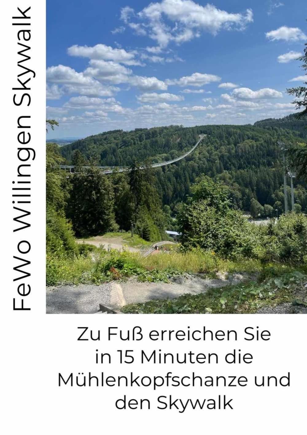 Fewo Skywalk Willingen Stryck Esterno foto