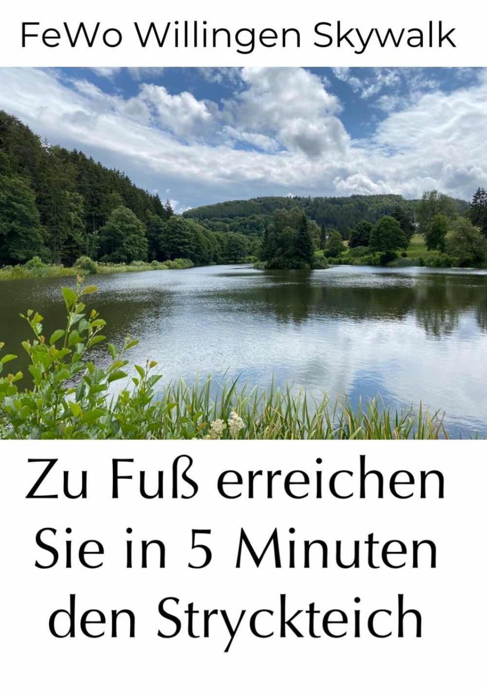 Fewo Skywalk Willingen Stryck Esterno foto